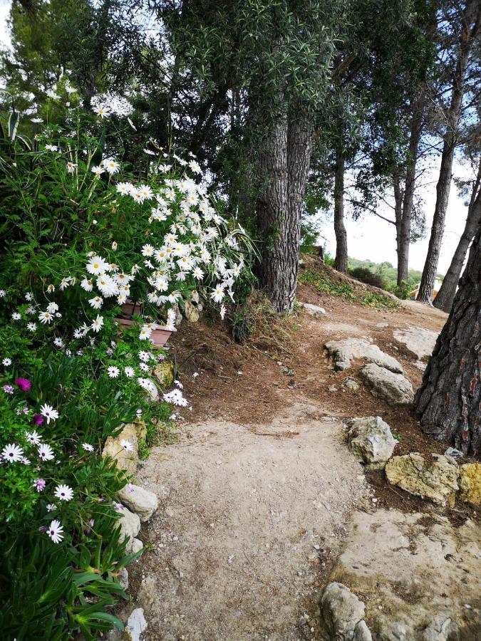 Apartamento Entre La Playa Y La Montana Calafell Buitenkant foto